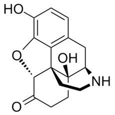 Noroxymorphone