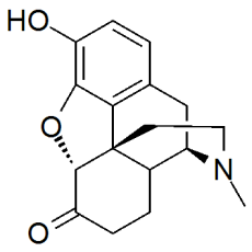 Hydromorphone 1mg/ml